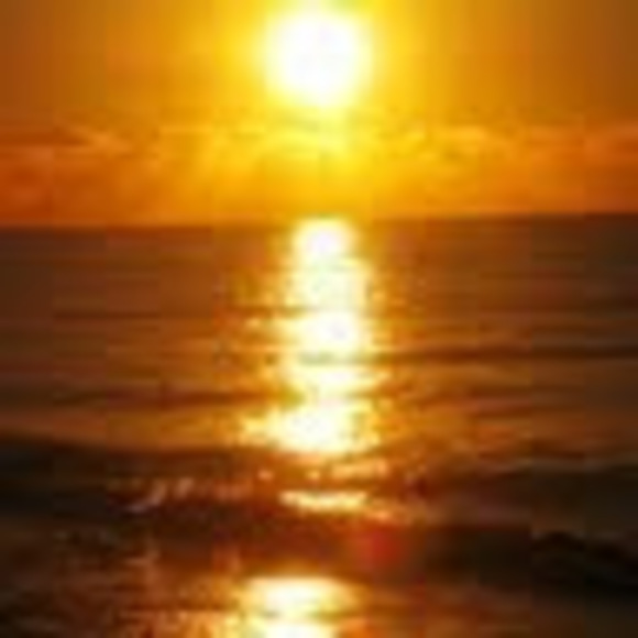 Meet your Posher, Sonia - Picture 1 of 1